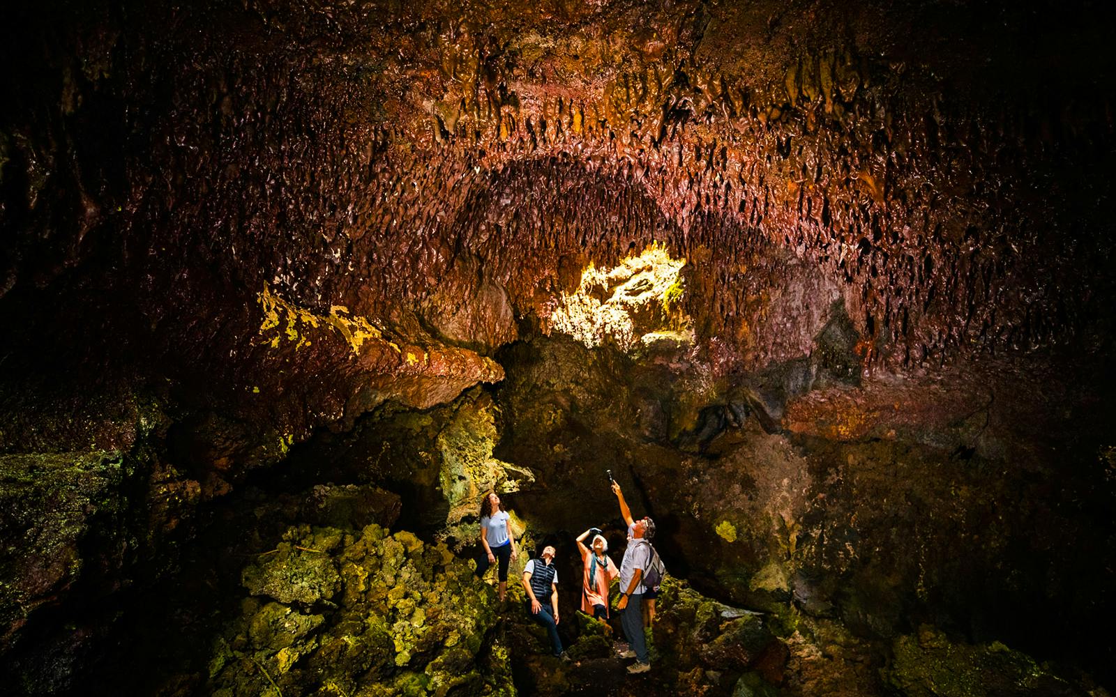 Big Island: Hidden Craters Hike Image 4