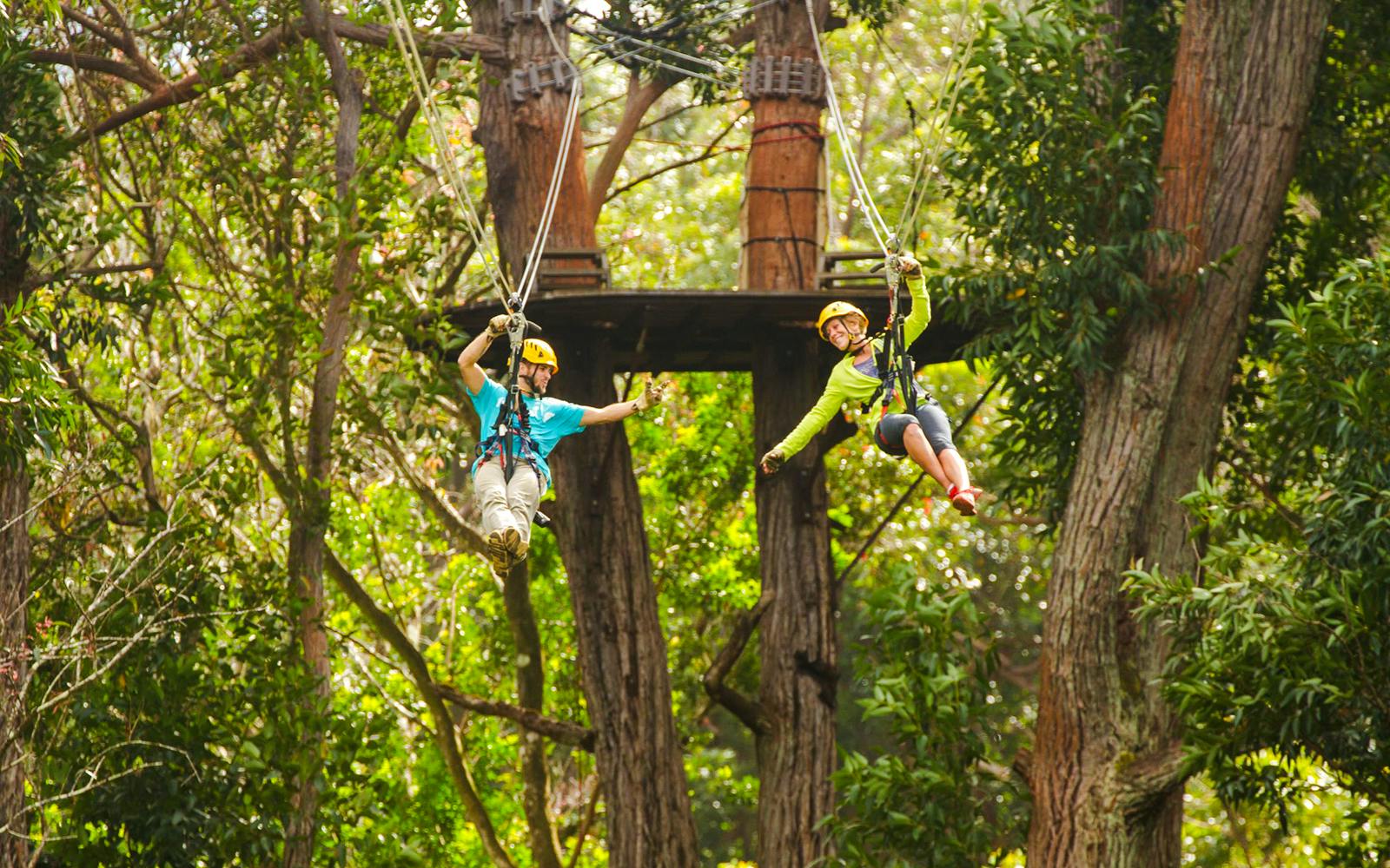 Big Island: Kohala Canopy Zipline Tickets Image 4