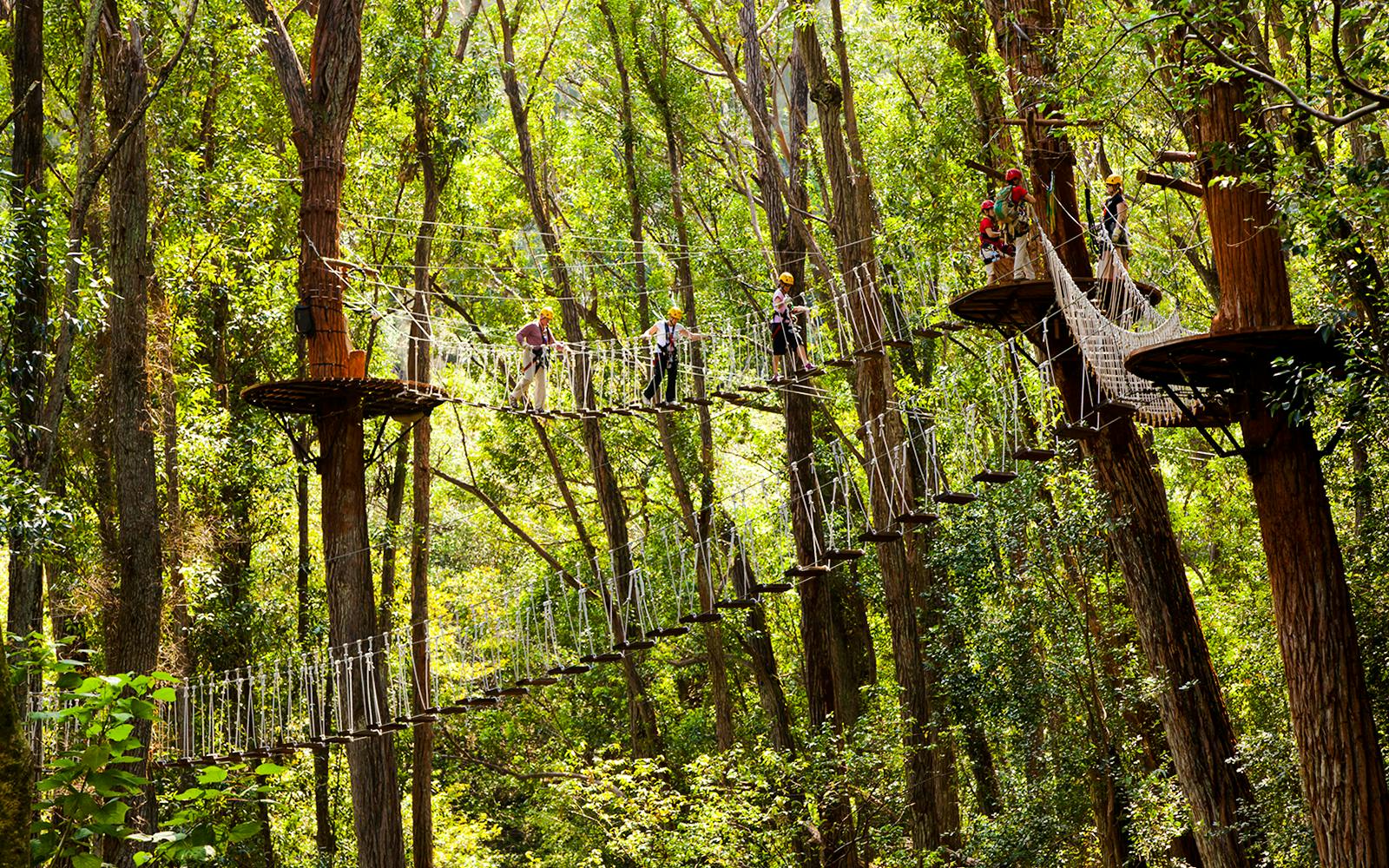 Big Island: Kohala Waterfalls and Canopy Zip & Dip Tour Image 3
