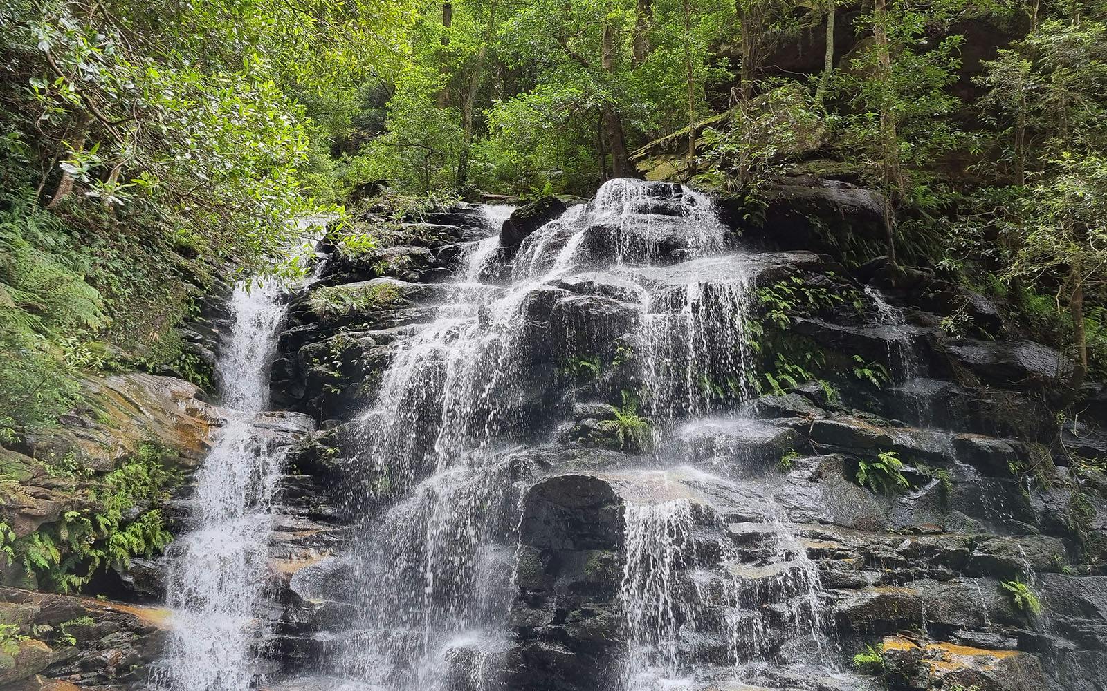 Blue Mountains Cultural Adventure: Wentworth Falls Bushwalks and Aboriginal Sites Image 3
