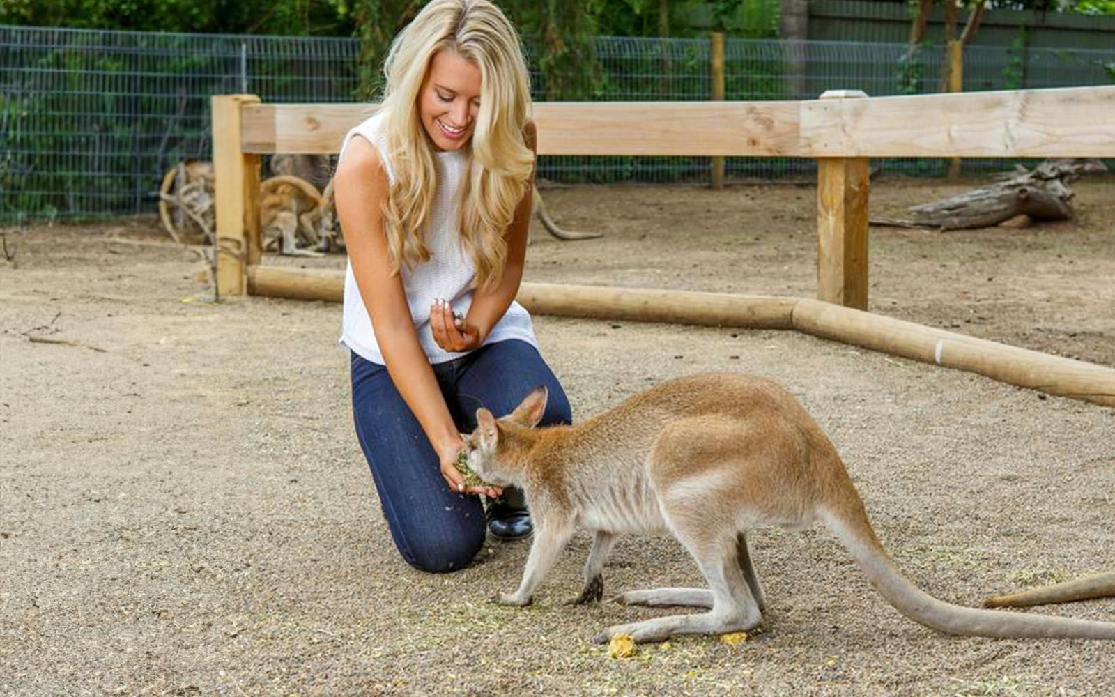 Blue Mountains Tour: Lunch, Scenic World, Sydney Zoo or Featherdale Wildlife Park, & Harbour Ferry Return Image 12