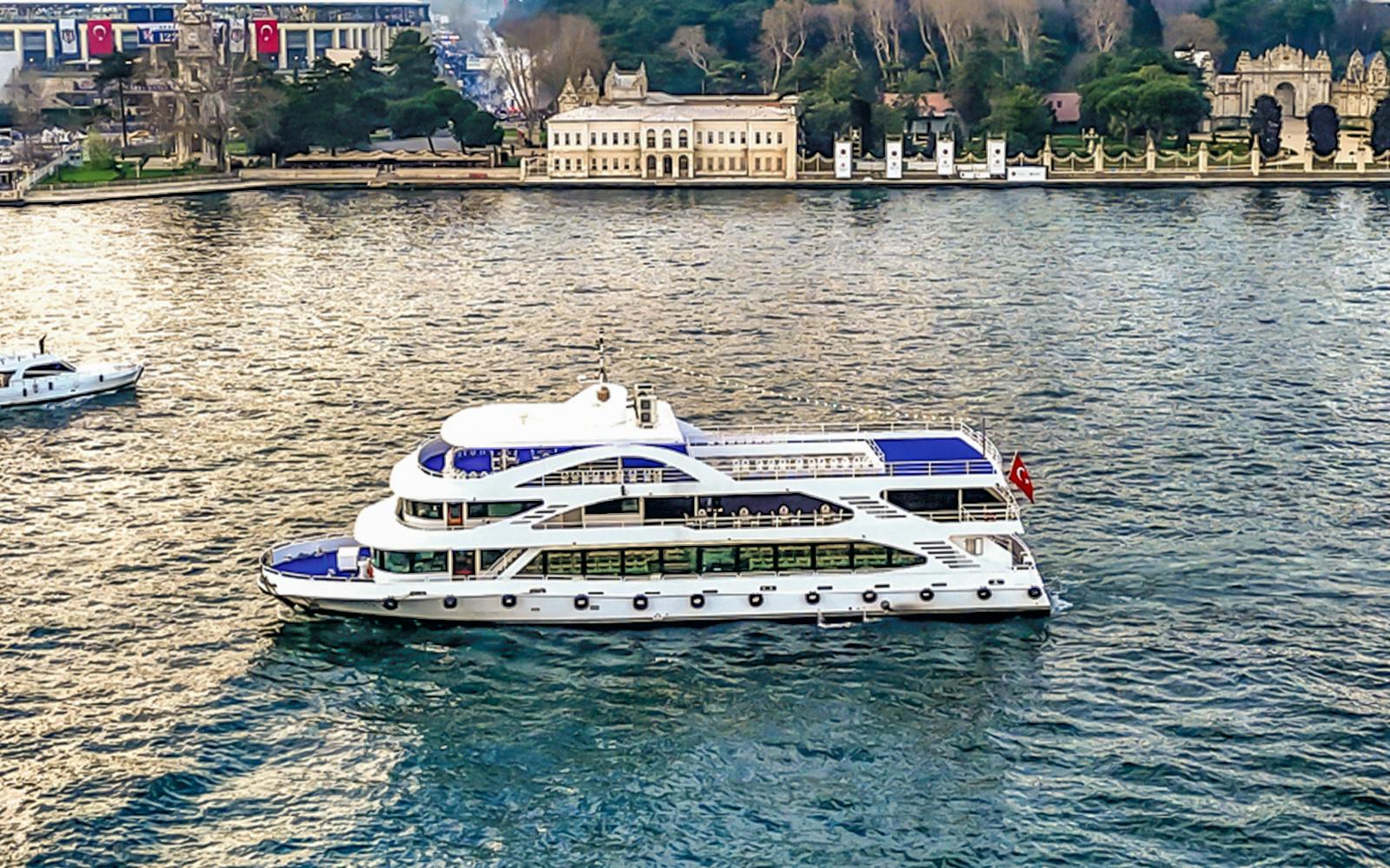 Bosphorus Afternoon Cruise with a Live Guide Image 1