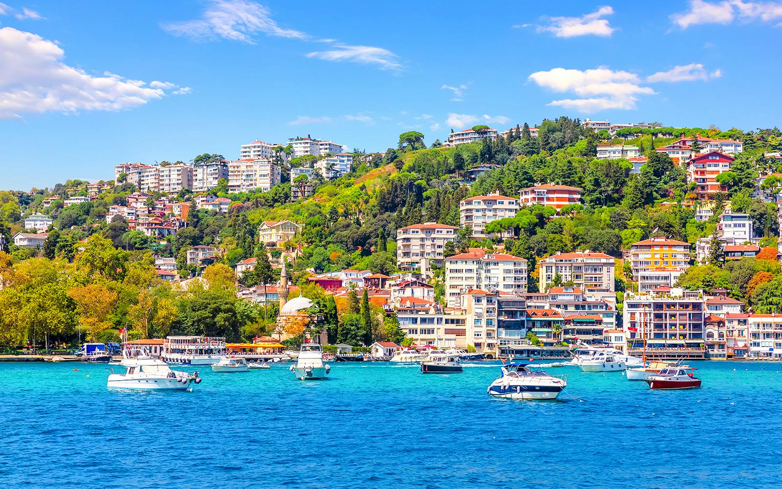 Bosphorus Cruise with Breakfast at Le Vapeur Magique Image 8