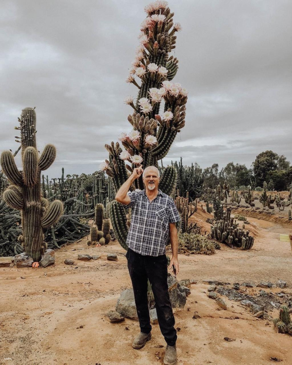 Melbourne Cactus Country Garden Entry Ticket | Victoria