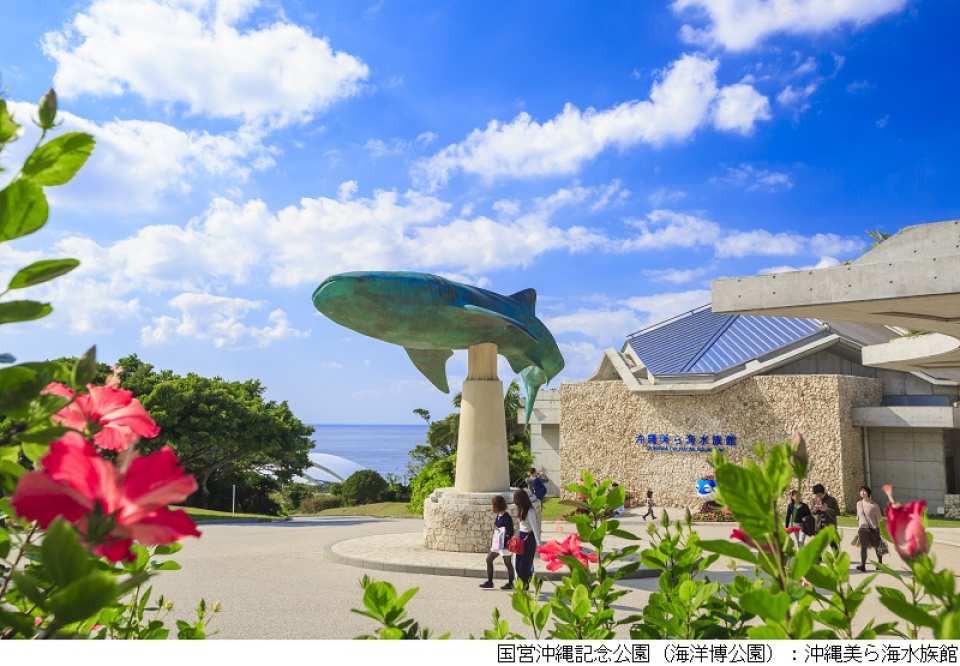 Okinawa | Churaumi Tokutoku 5 Pass / Okinawa Tokutoku 3 Pass | Instant Booking Confirmation