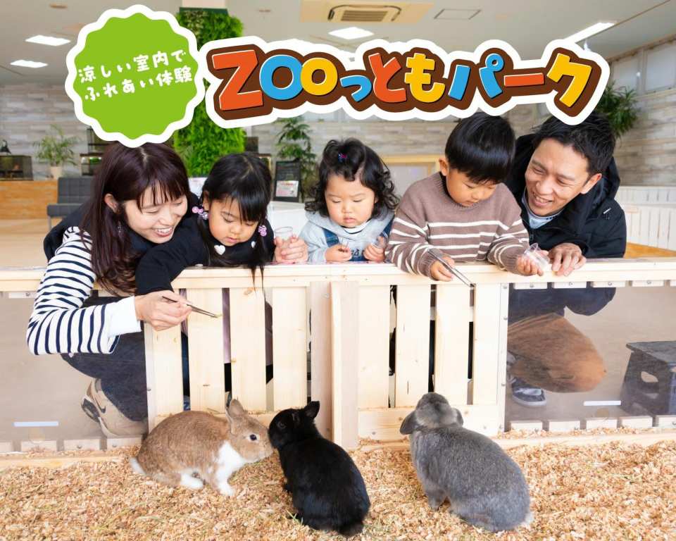 Combined admission ticket for Minachita Seaside Park & ​​Minachita Toy Kingdom in Aichi Prefecture, Japan