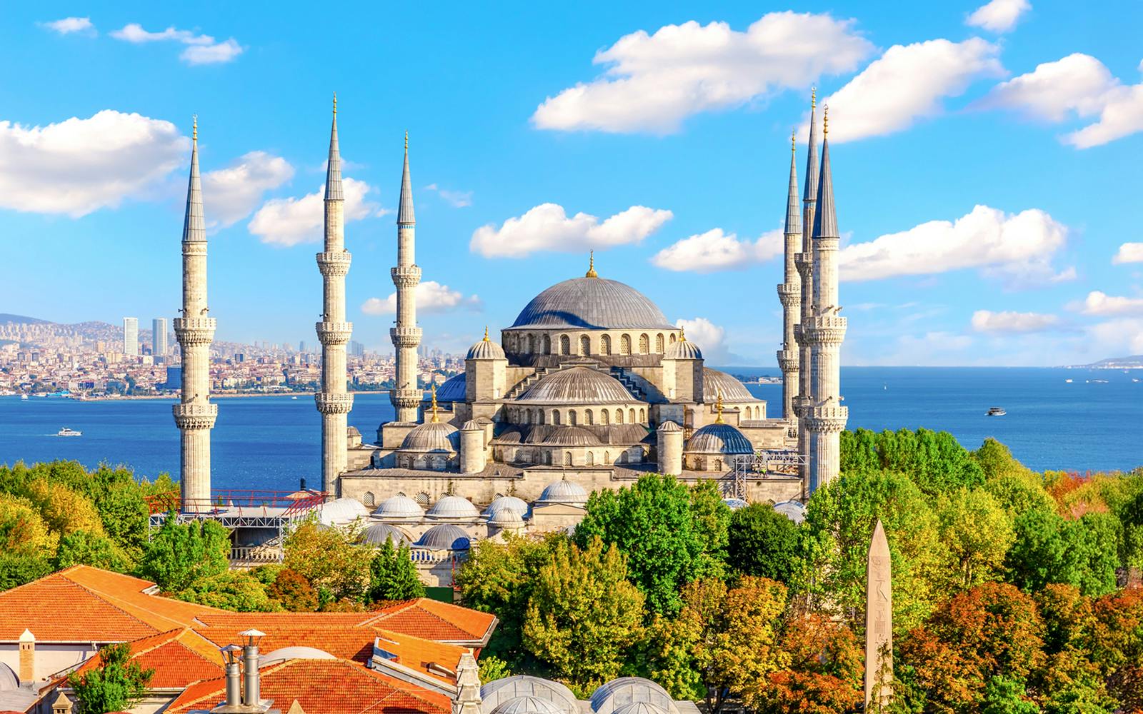 Combo: Hagia Sophia Ticket + Blue Mosque Audio Guide with Optional Guided Tours of Both Venues Image 2