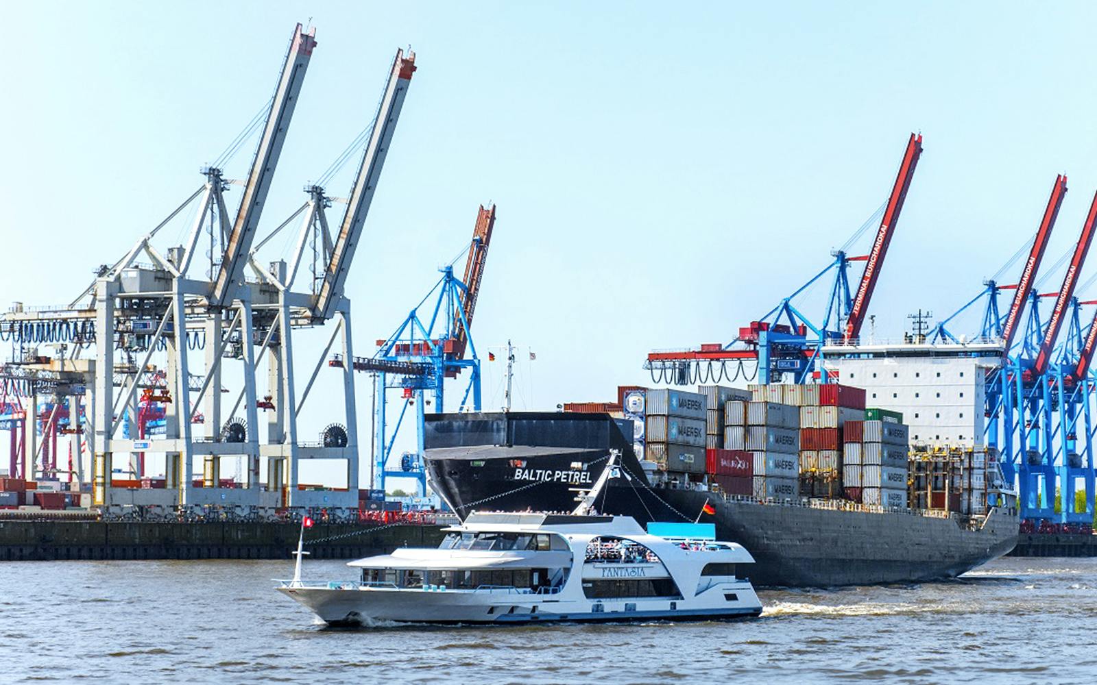 Combo: Hamburg Harbor Cruise + Elbphilharmonie German Guided Tour Tickets Image 3