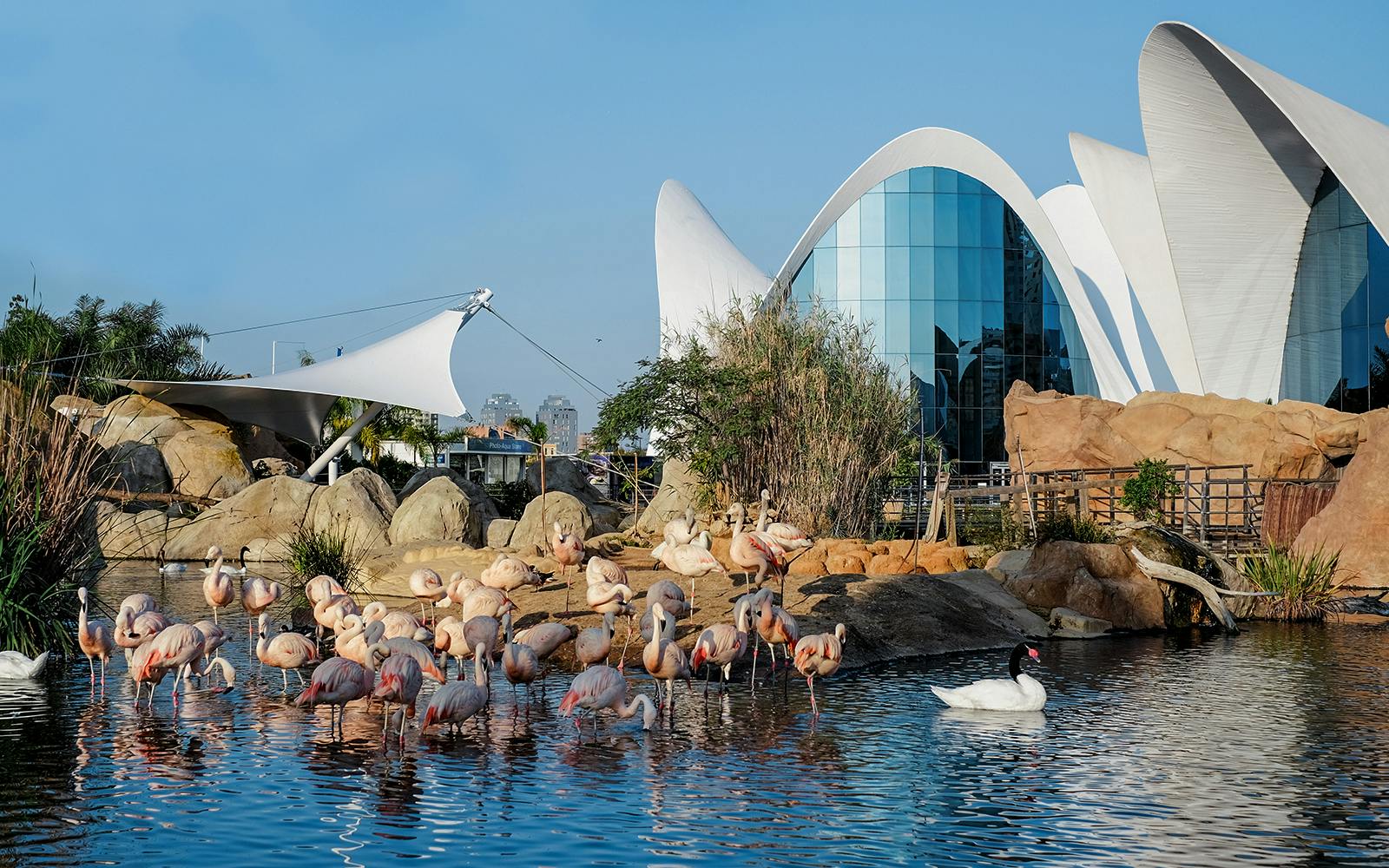 Combo: Oceanogràfic + Science Museum Tickets Image 2