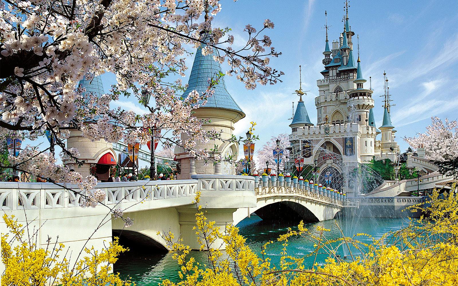Combo (Save 26%): Lotte World + Seoul Sky Observatory Tickets Image 4