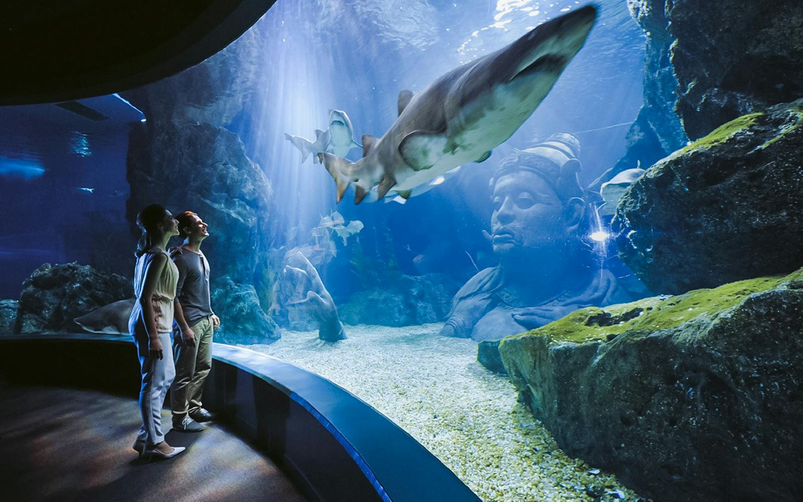 Combo: SEA LIFE Bangkok + Madame Tussauds Bangkok Tickets Image 3