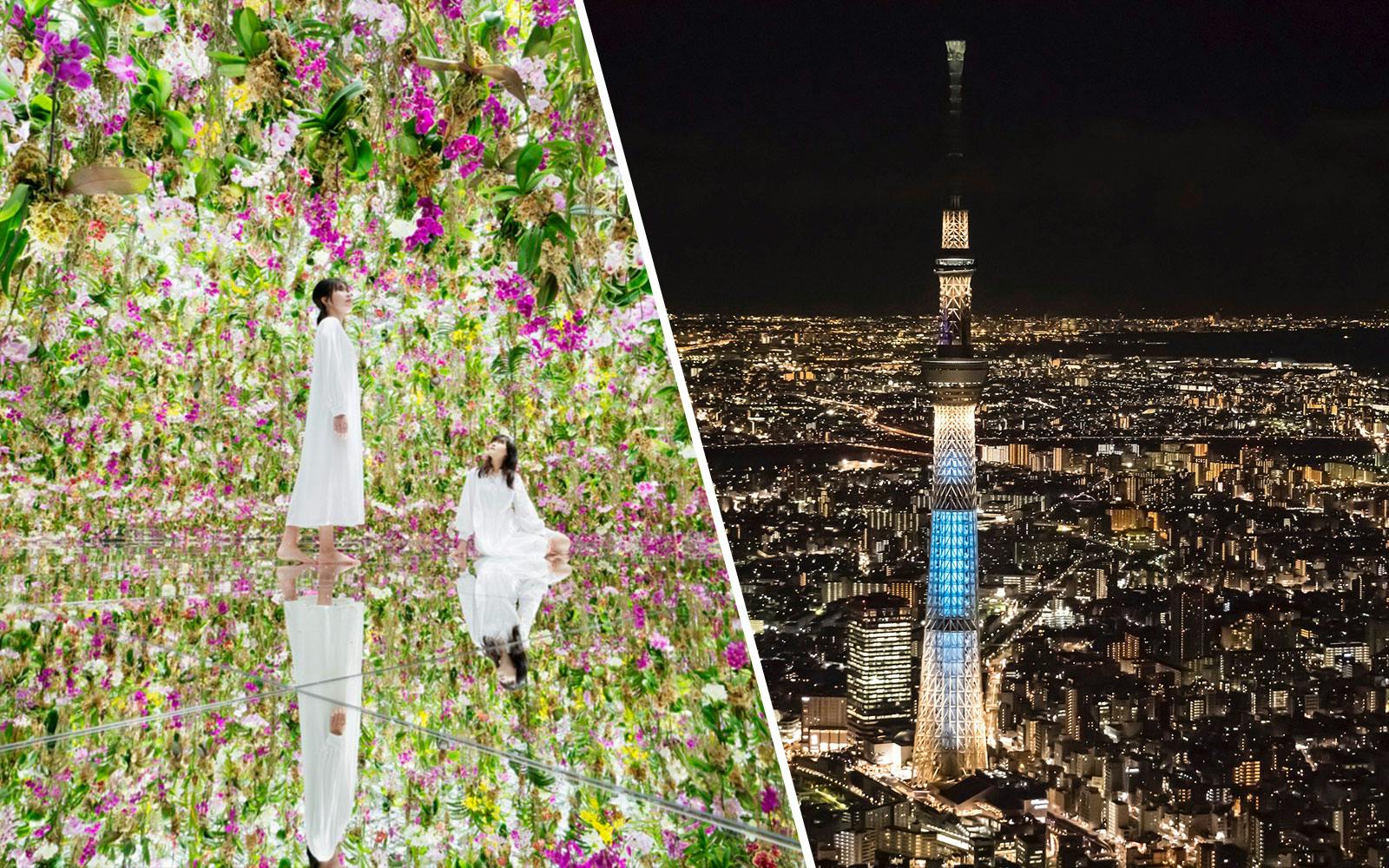 Combo: teamLab Planets Tokyo + Tokyo Observation Decks Tickets Image 1