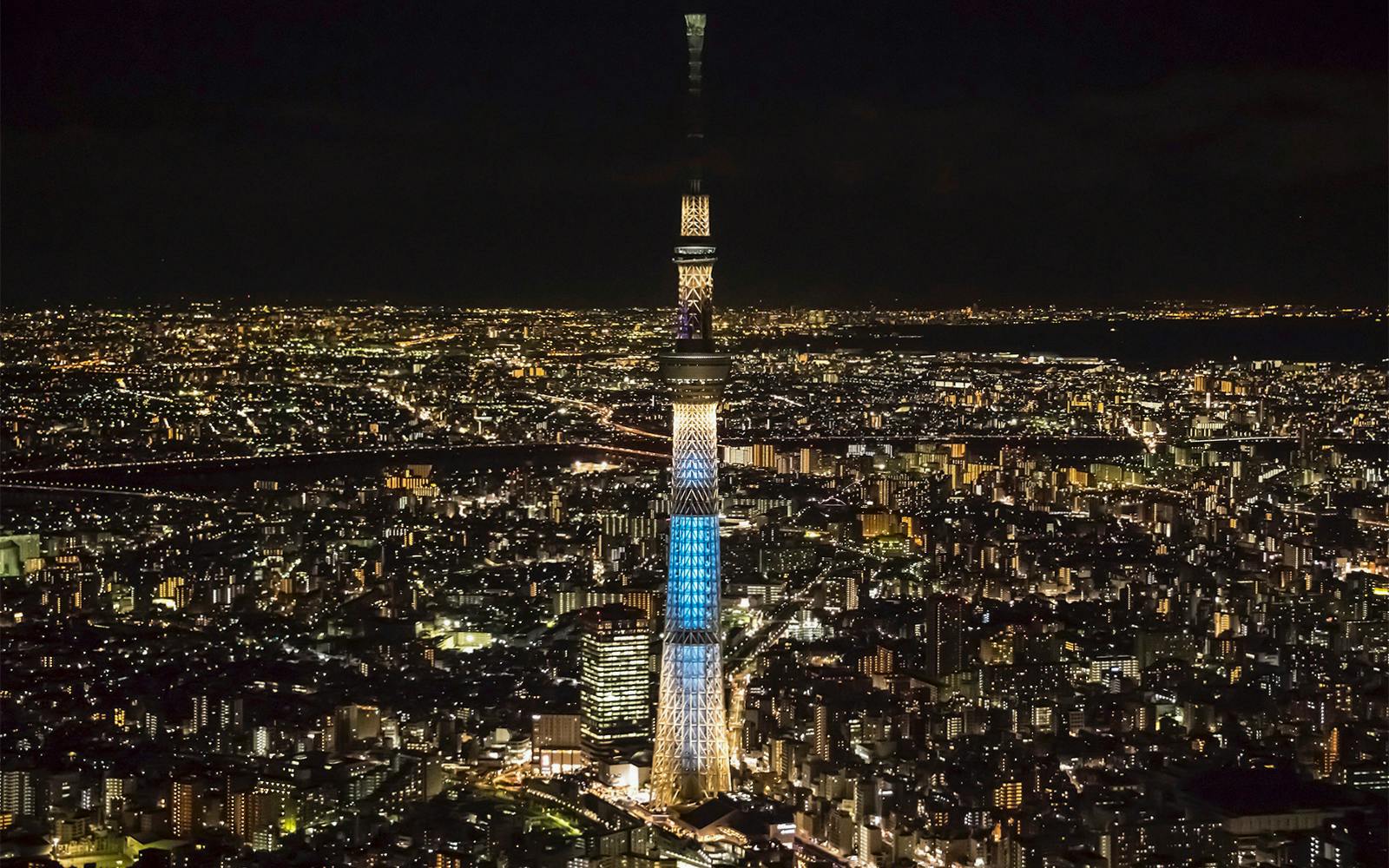 Combo: Tokyo Hop-On Hop-Off Bus Tour + TOKYO SKYTREE Tickets Image 9