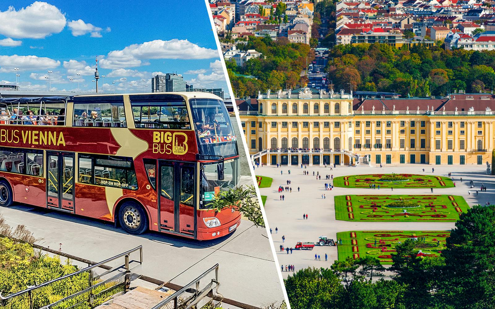 Combo: Vienna Hop-on Hop-off Bus Tour + Schönbrunn Palace & Belvedere Palace Tickets Image 1