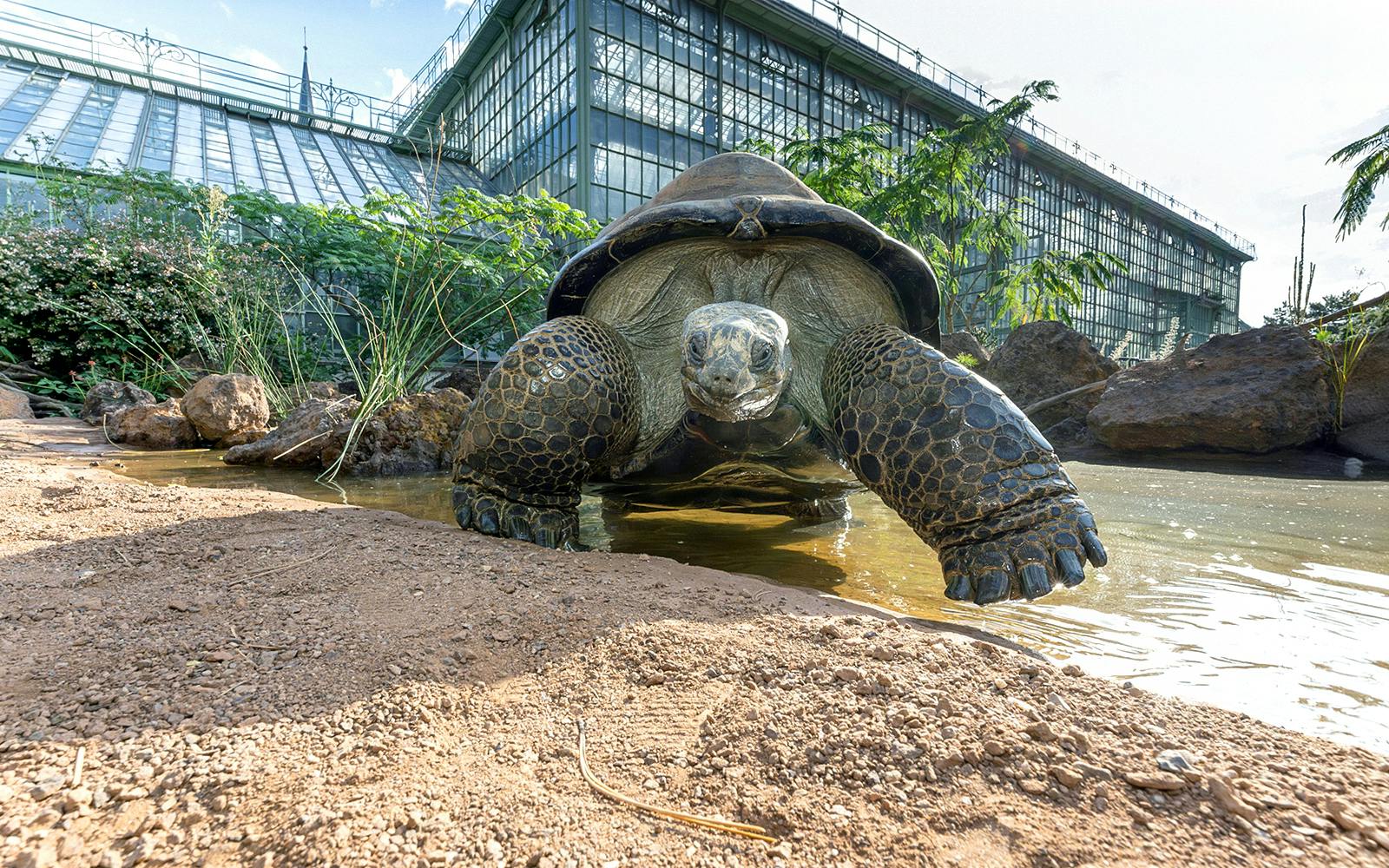 Desert House Skip-the-Line Ticket at Schönbrunn Zoo Image 4