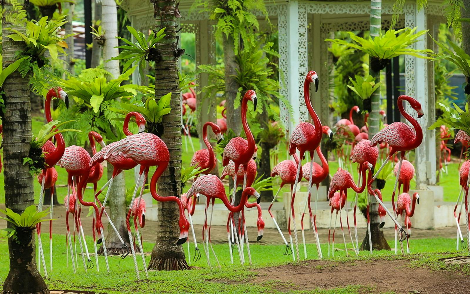 [Direct Entry] Tickets to Nong Nooch Tropical Garden with Show Image 2