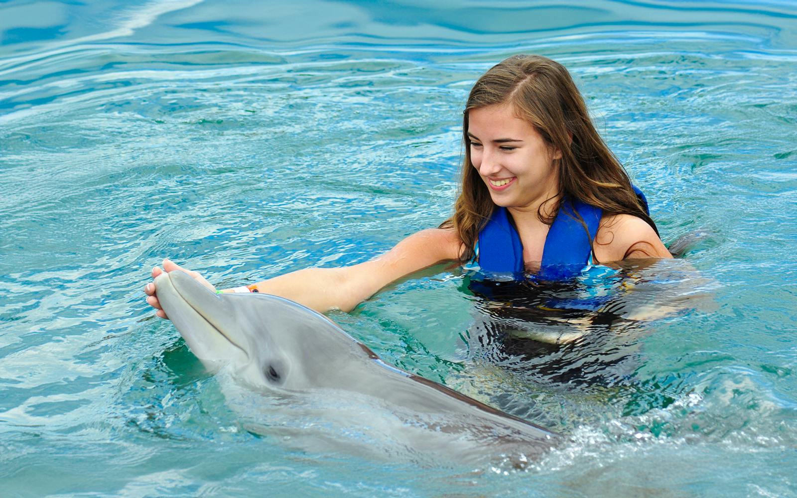 Dolphinarium Pattaya Tickets: Non-Thai Residents Image 1