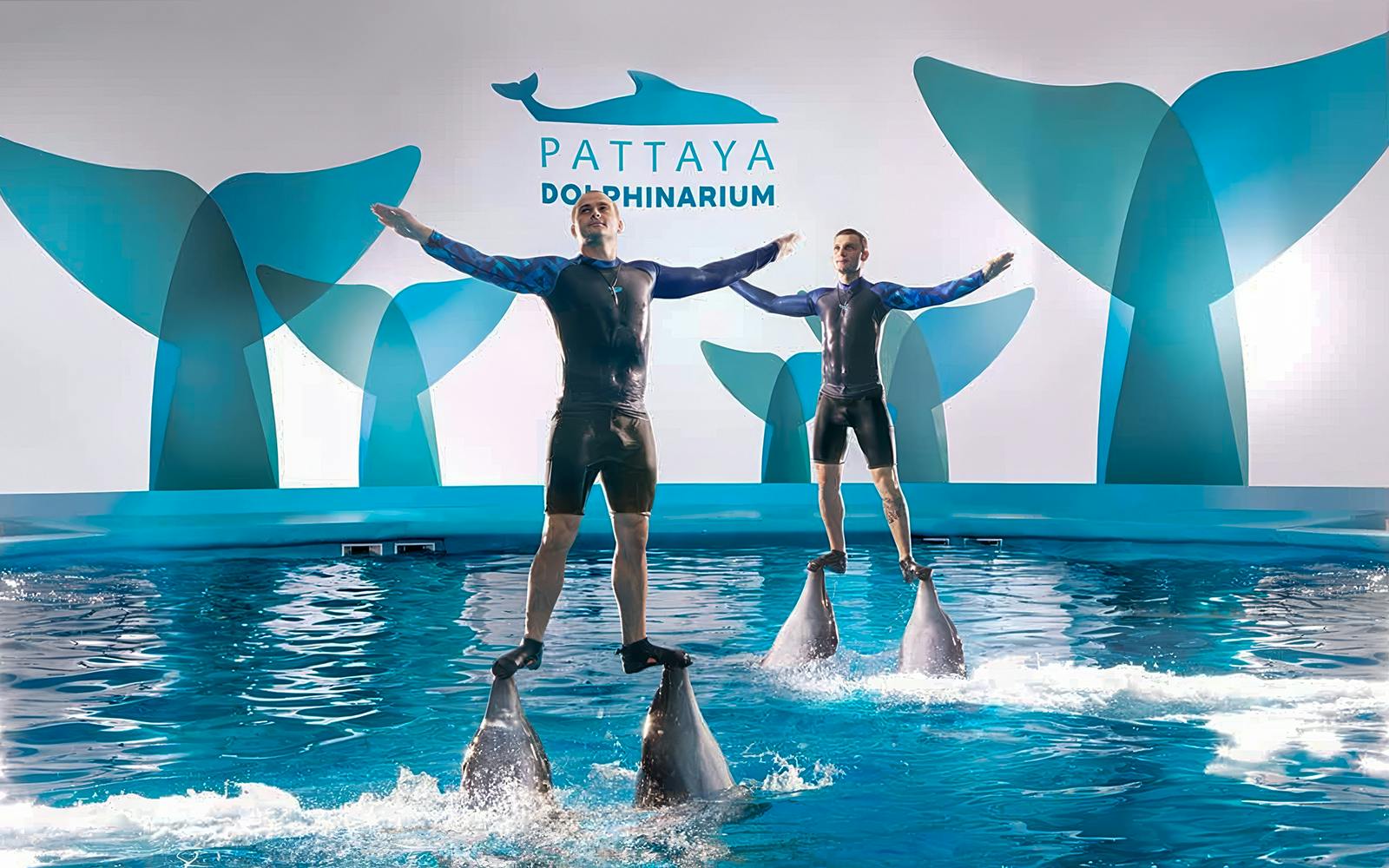 Dolphinarium Pattaya Tickets: Non-Thai Residents Image 3