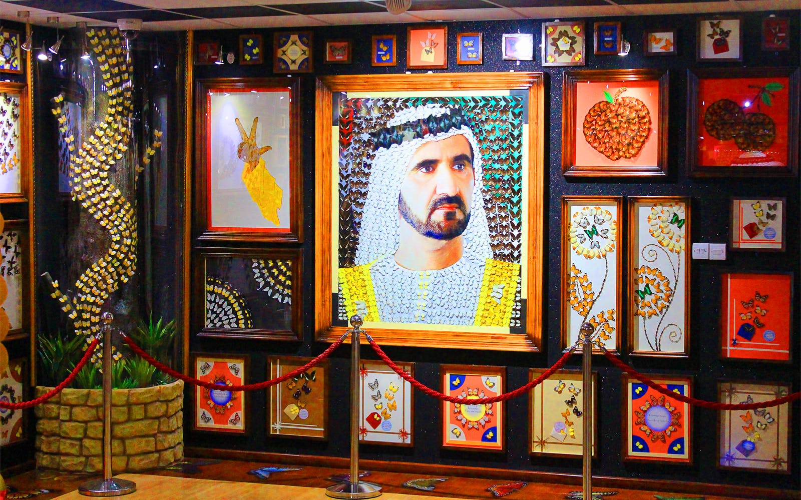 Dubai Butterfly Garden Skip-the-Line Tickets Image 8