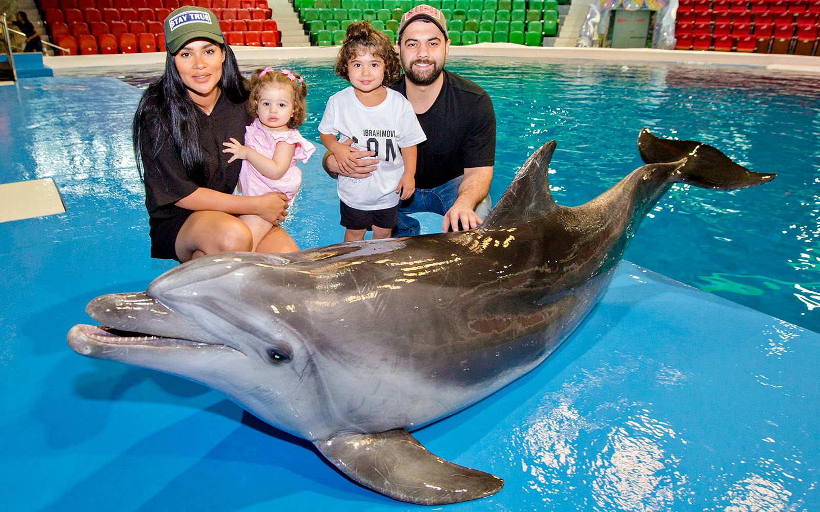 Dubai Dolphinarium: Dolphin & Seal Show Tickets Image 3