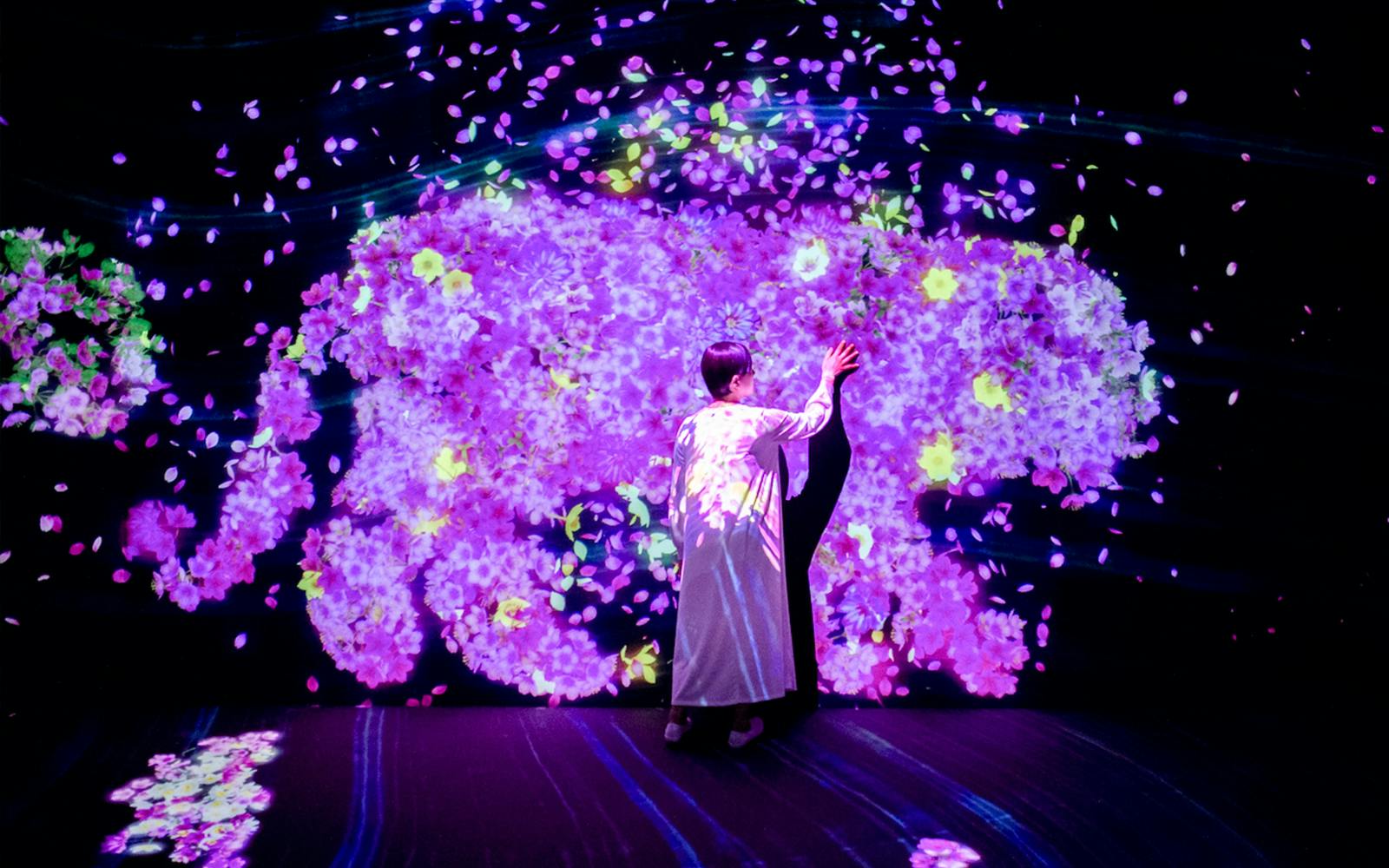 E・ZO FUKUOKA teamLab Forest Tickets Image 5