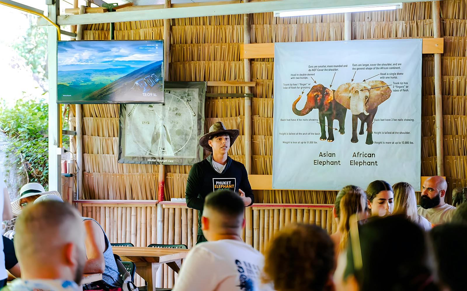 Elephant Sanctuary Tour with Transfers in Phuket Image 4