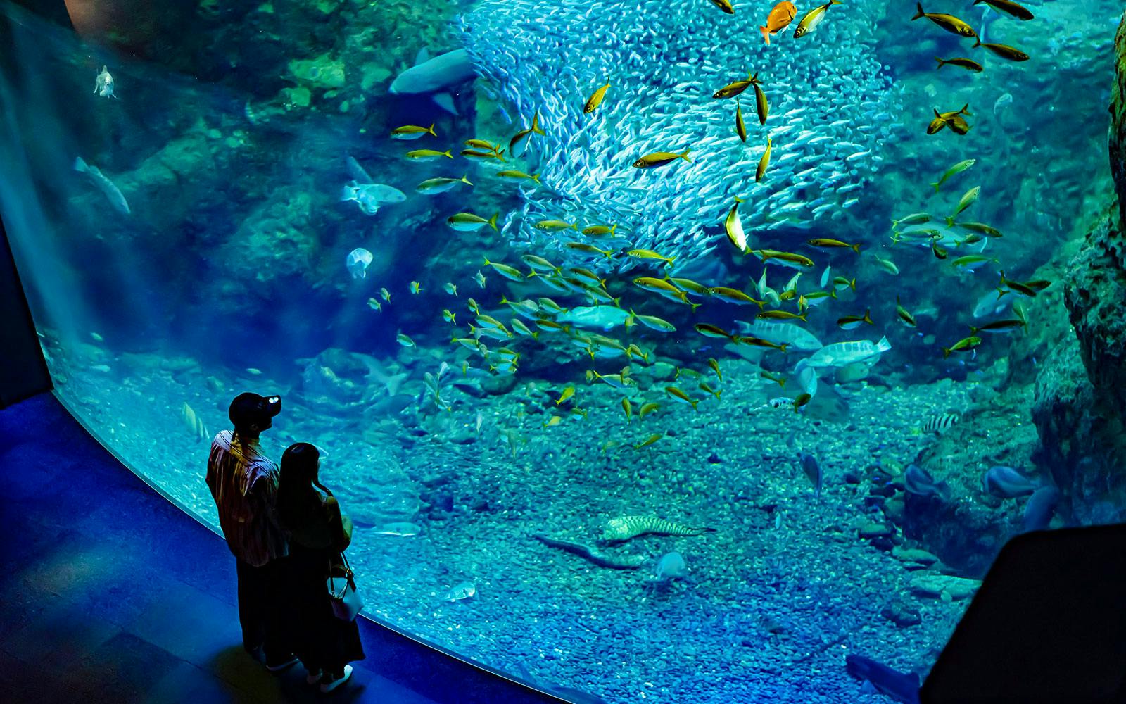 Enoshima Aquarium Tickets Image 1