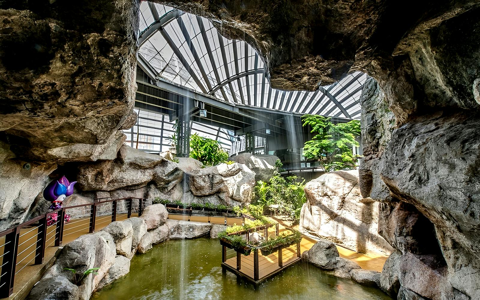 Entopia by Penang Butterfly Farm Tickets Image 5