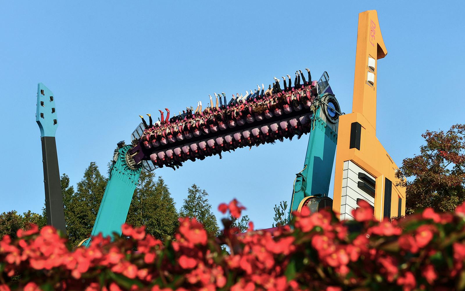 Everland Theme Park Tickets Image 3