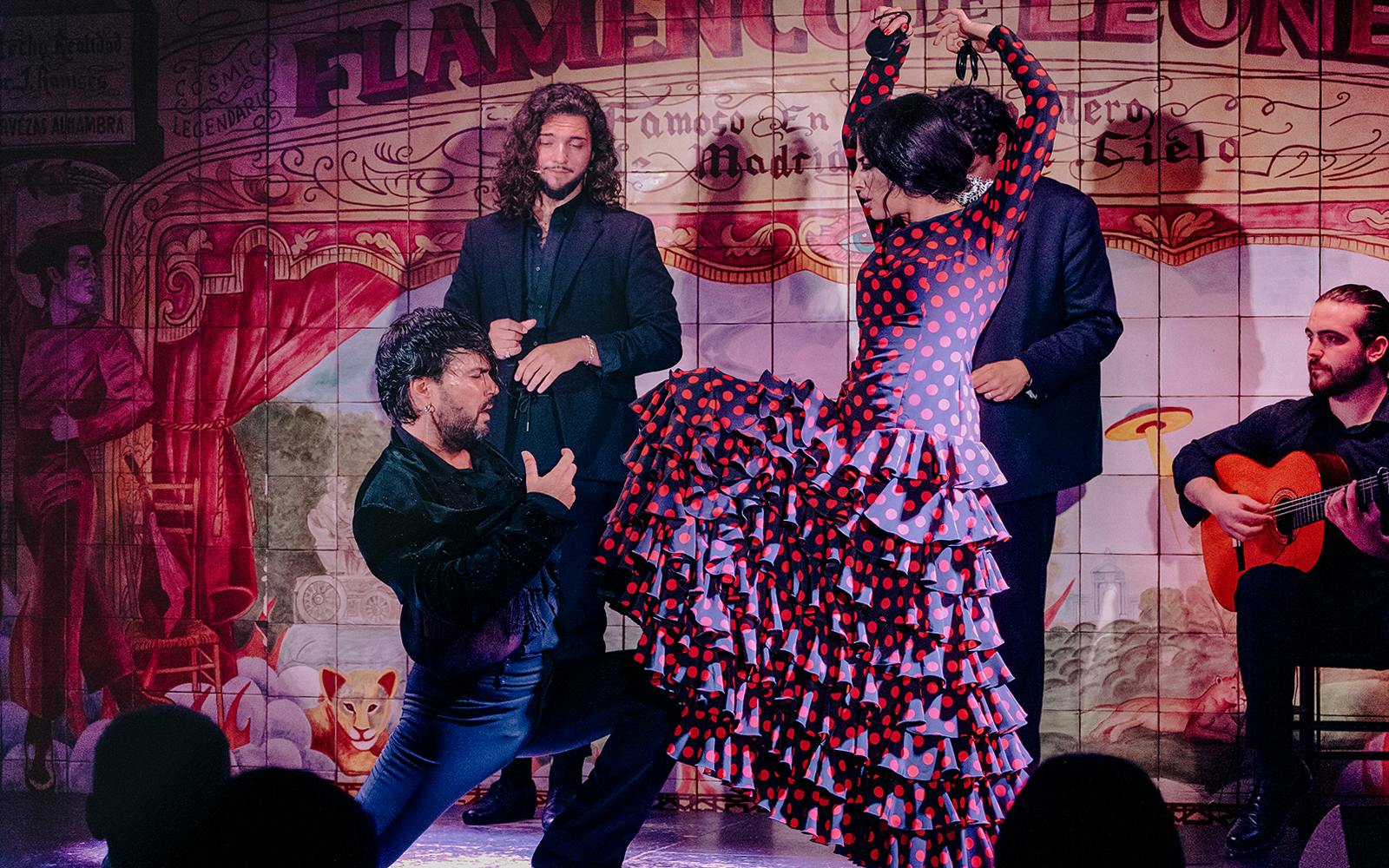 Flamenco De Leones - Flamenco Show Image 1