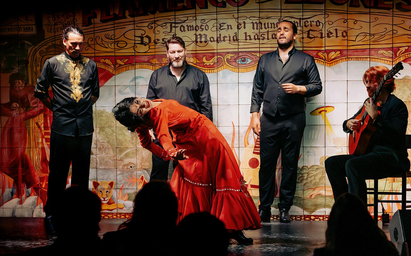 Flamenco De Leones - Flamenco Show Image 5