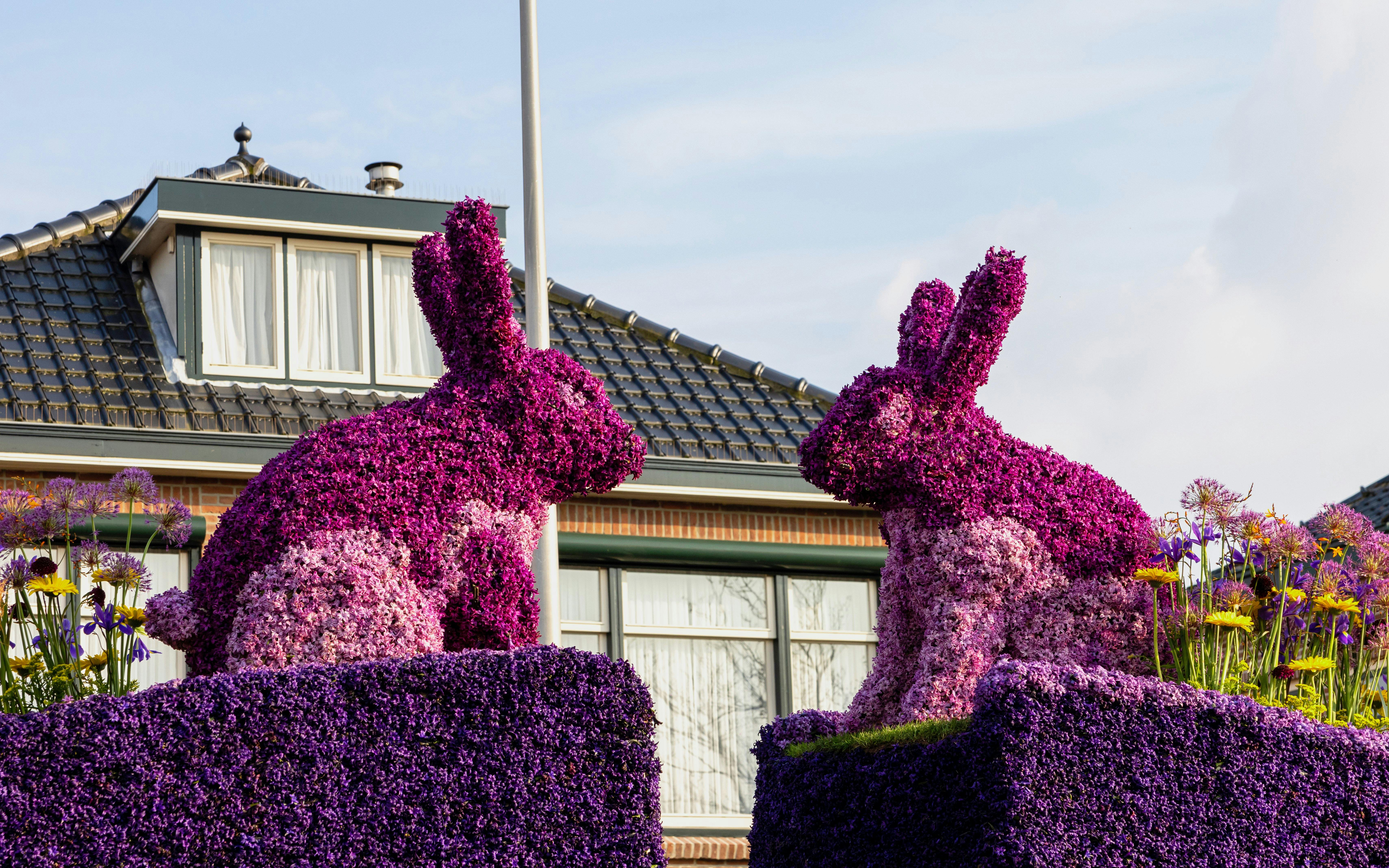 From Amsterdam: Keukenhof Guided Tour with Flower Parade Access Image 8
