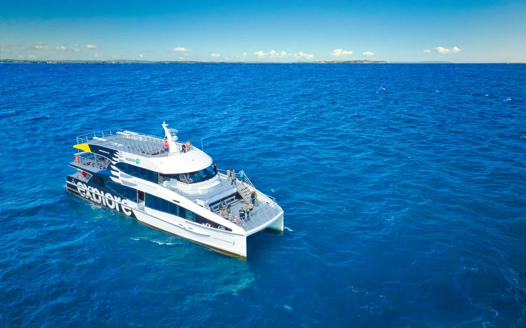 From Auckland: Tikapa Moana Whales, Dolphins & Islands Cruise Image 1