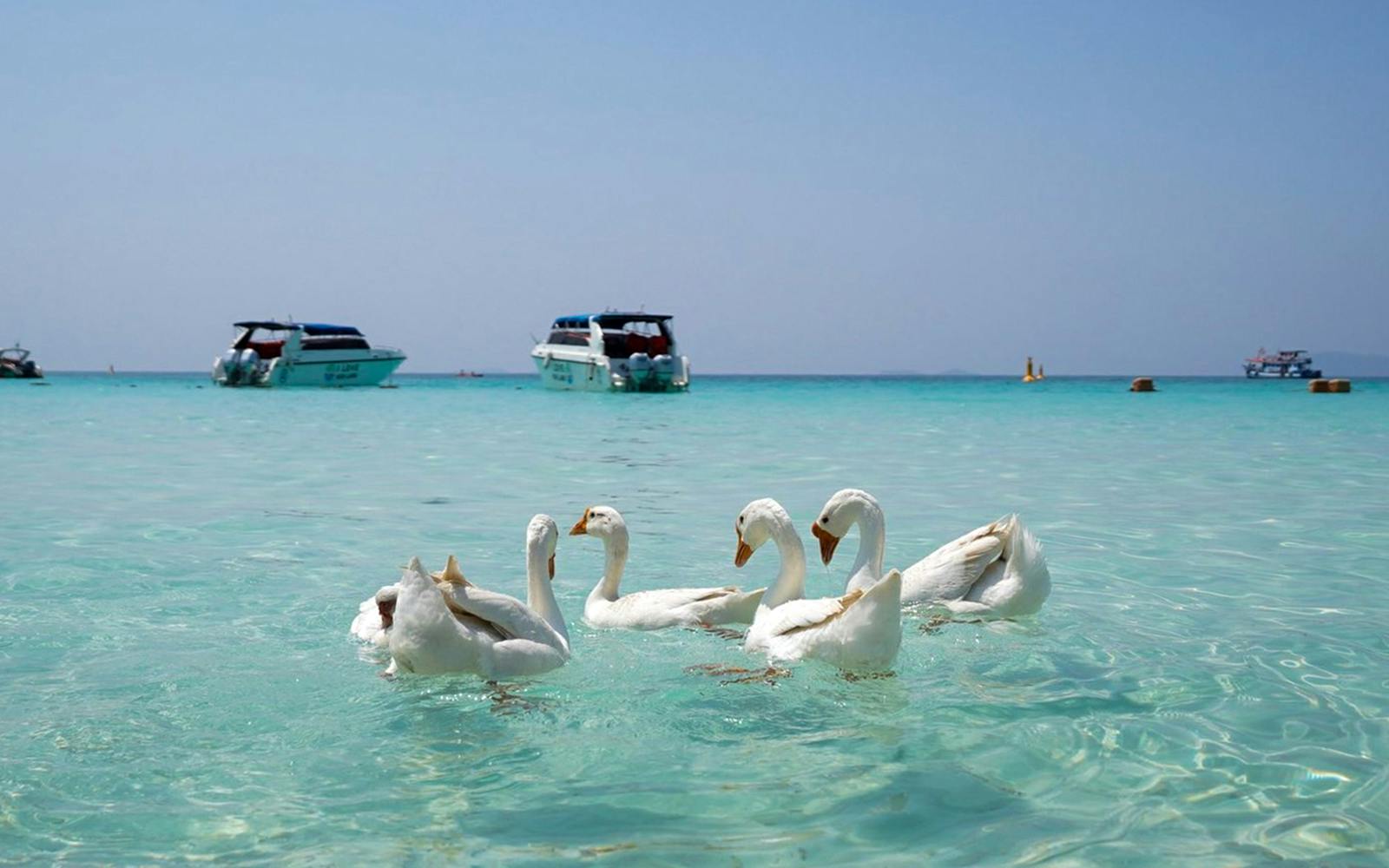 From Bangkok: Pattaya Island Day Trip with Beach Activities & Drone Photos Image 8