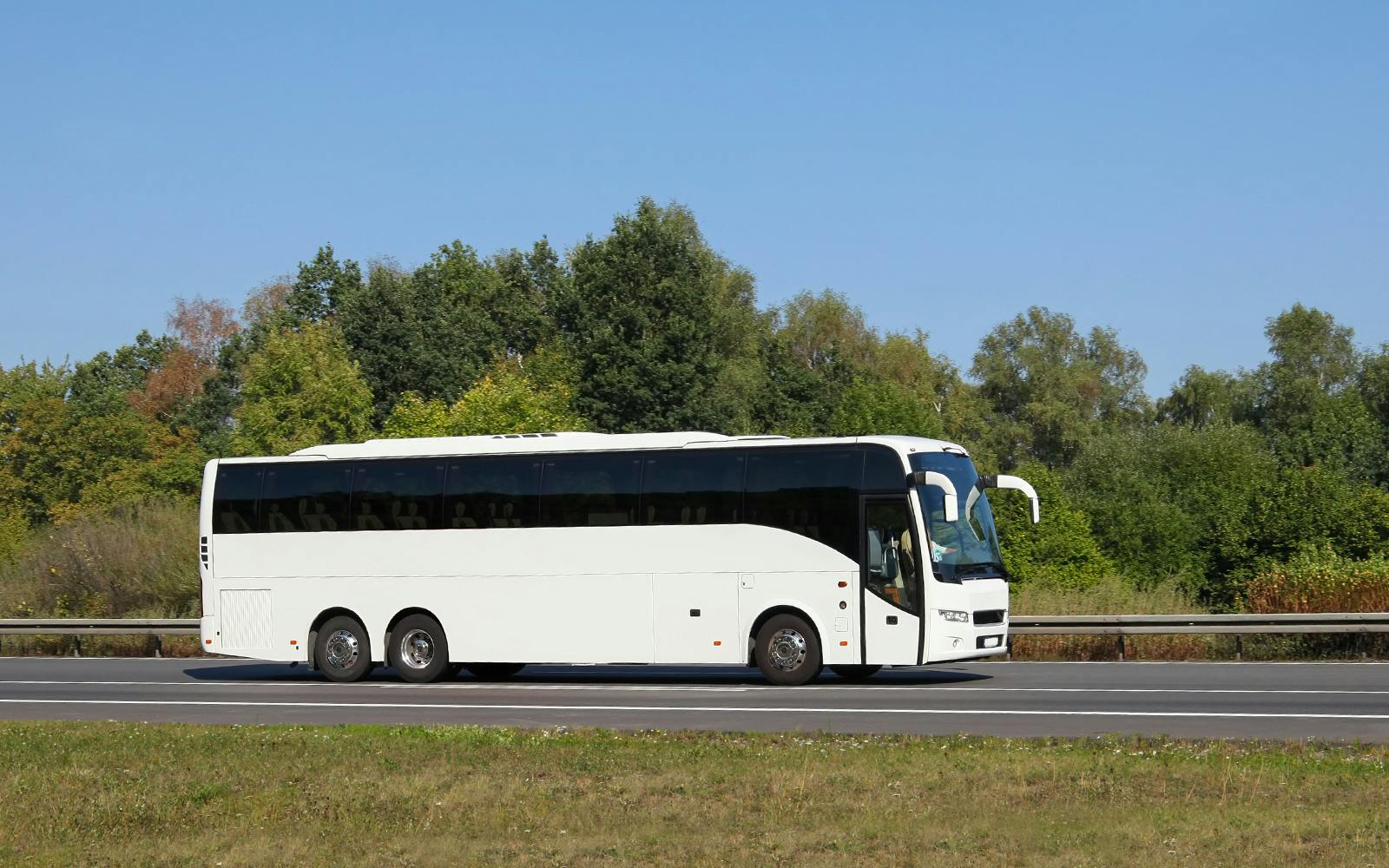 From Budapest: Danube Bend Tour Image 8