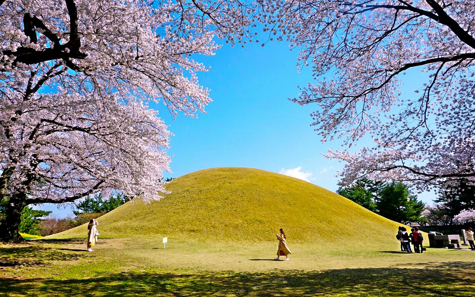 From Busan: Gyeongju UNESCO World Heritage Site Full-Day Guided Tour Image 5