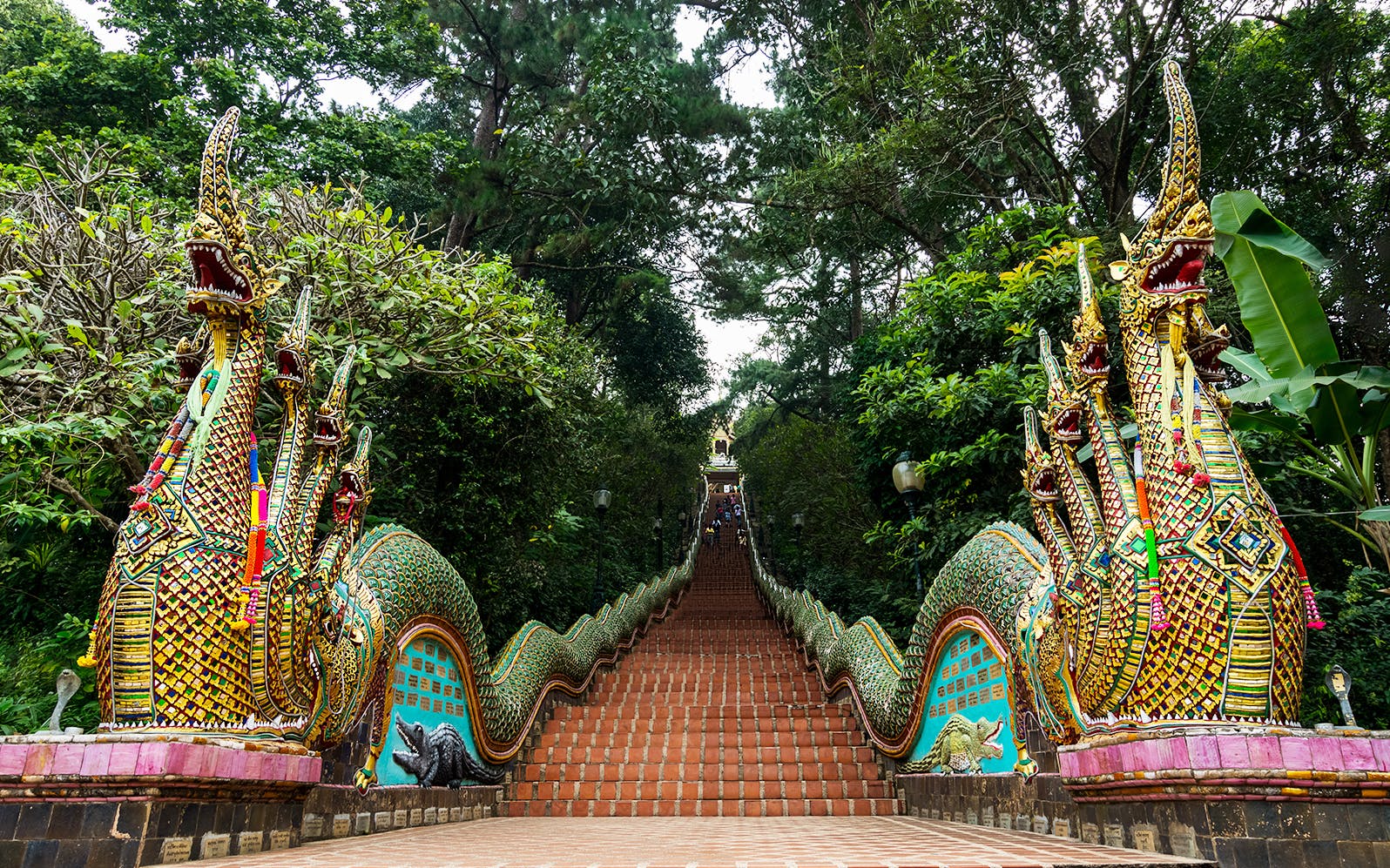 From Chiang Mai: Doi Suthep, Wat Umong, and Wat Pha Lat Sunrise Guided Tour with Hotel Transfers 
 Image 5