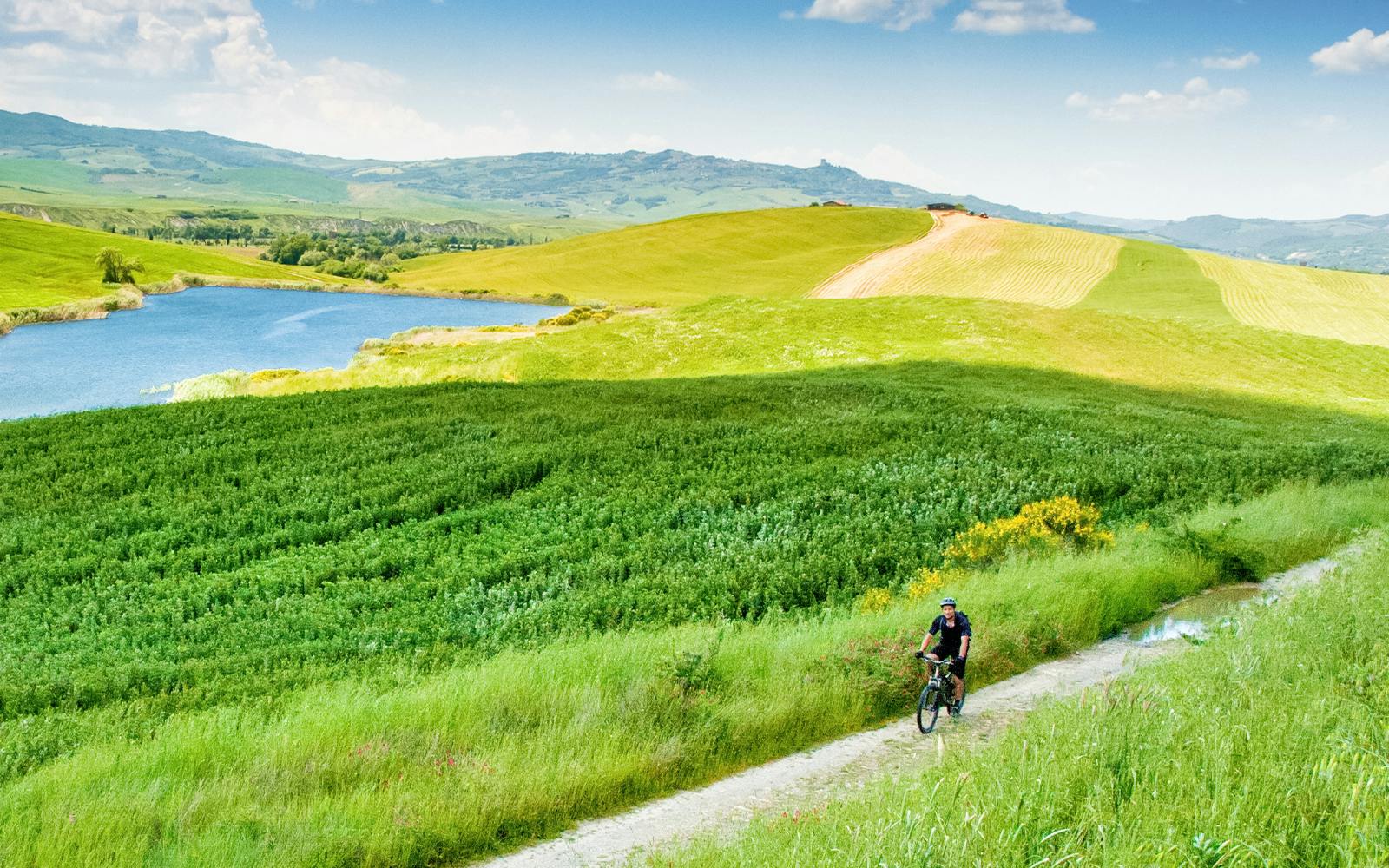 From Florence: E-Bike Tour through Tuscany & Chianti with Lunch Image 7