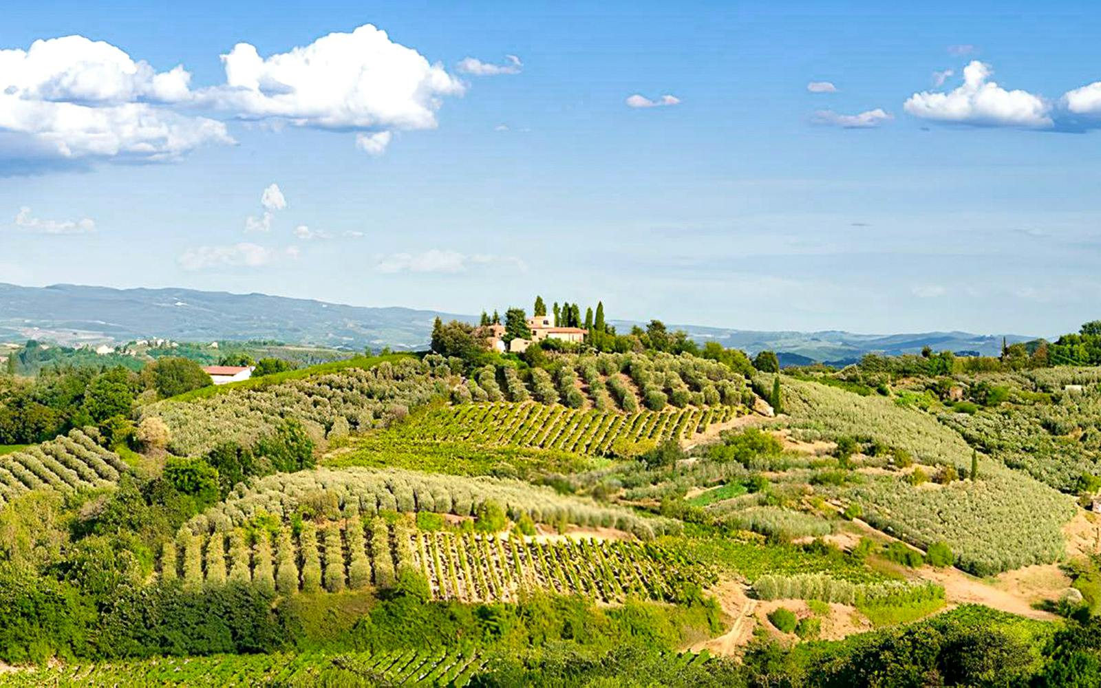 From Florence: Siena, San Gimignano & Chianti Day Trip with Wine Tastings Image 3