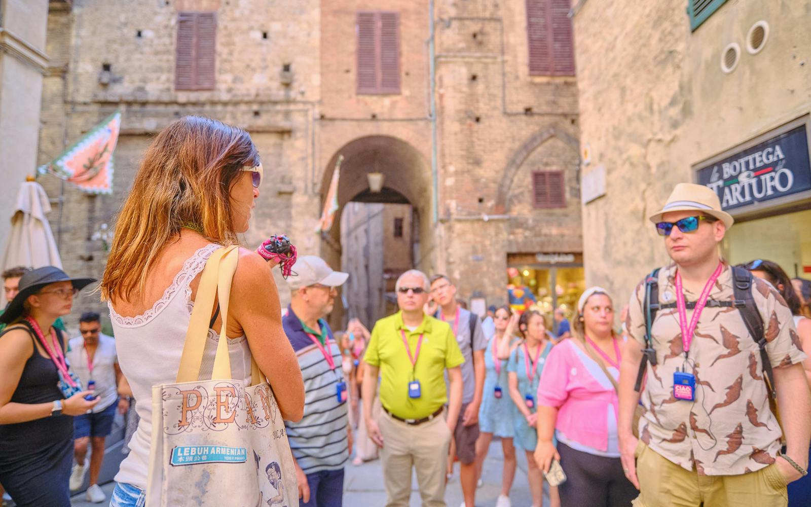 From Florence: Small Group Pisa, Siena, San Gimignano & Chianti Day Trip Image 4