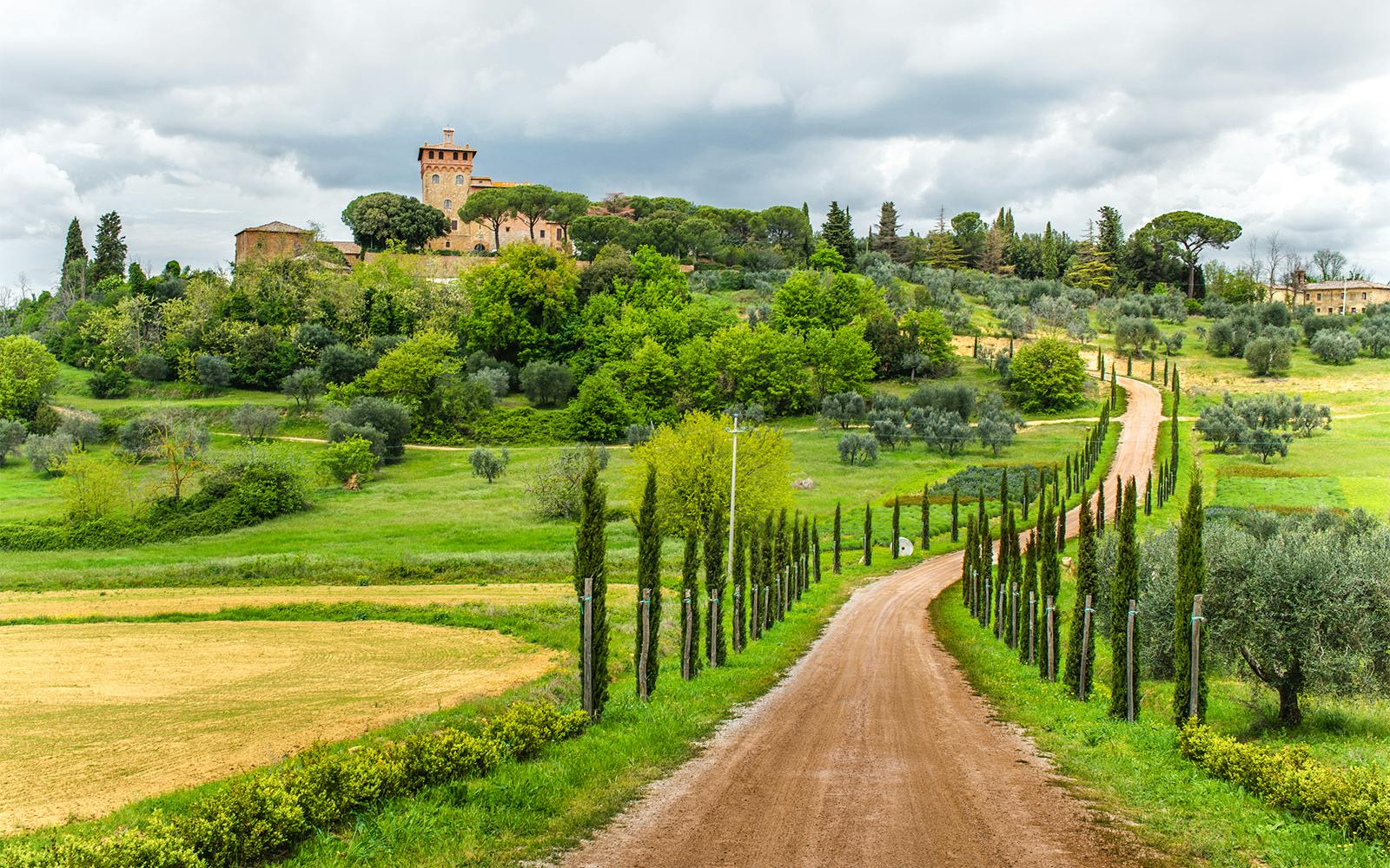 From Florence: Tuscany, Siena, San Gimignano & Pisa Day Trip Image 4