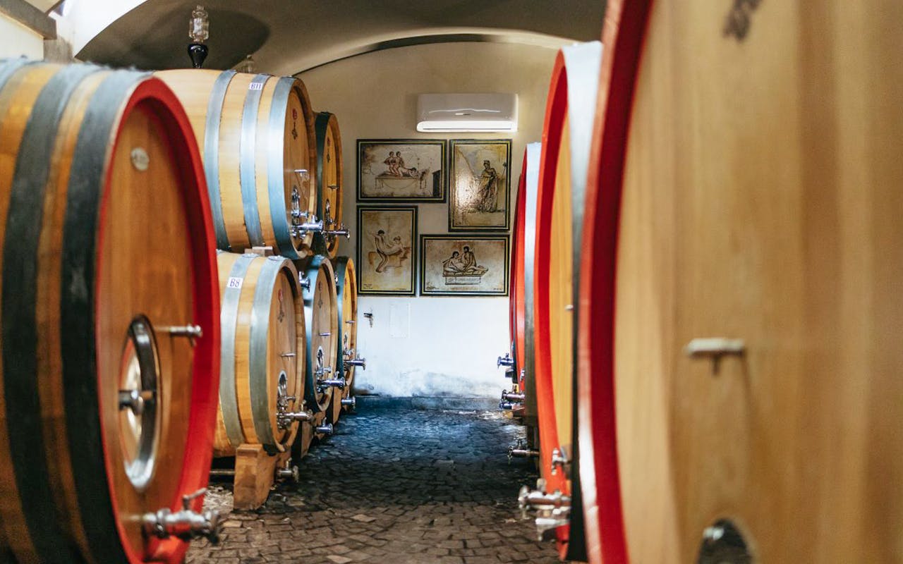 From Naples: Vesuvius Wine Tasting Experience With Mediterranean Lunch Image 4