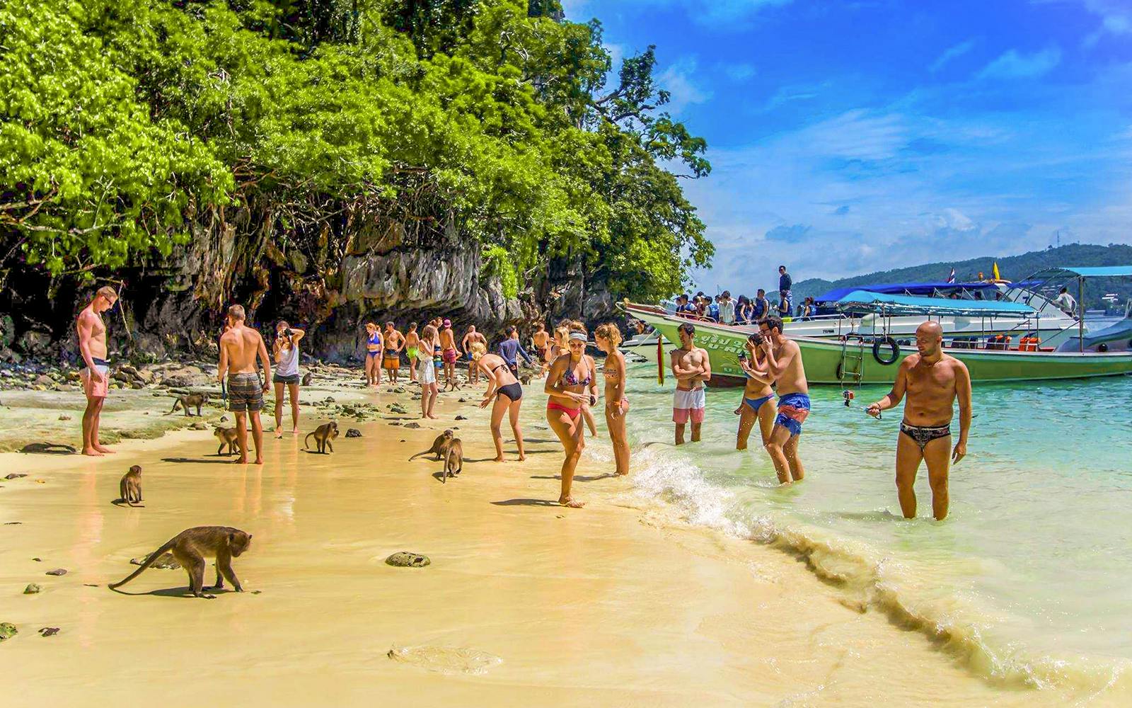 From Phi Phi: Maya Bay Longtail Boat Tour with Snorkeling Image 3