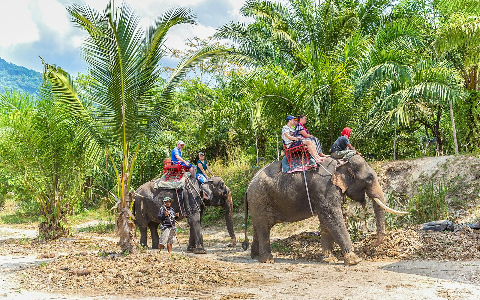 From Phuket: Bamboo Rafting, ATV Ride with Elephant Trekking & Bathing Experience Image 4