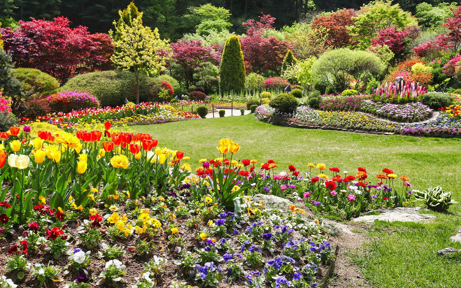 From Seoul: Alpaca World, Nami Island & Garden of Morning Calm Day Trip Image 12