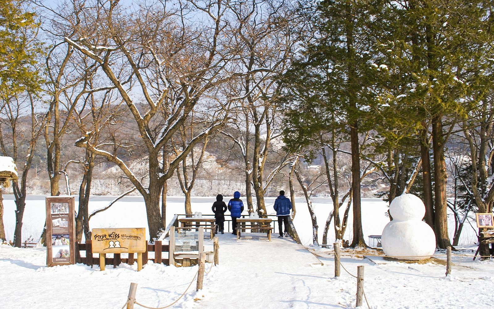 From Seoul: Alpaca World, Nami Island & Garden of Morning Calm Day Trip Image 5