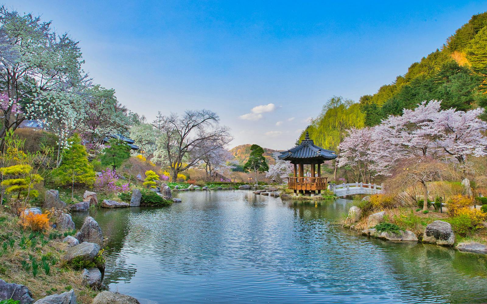 From Seoul: Nami Island & Alpaca World Guided Tour Image 5
