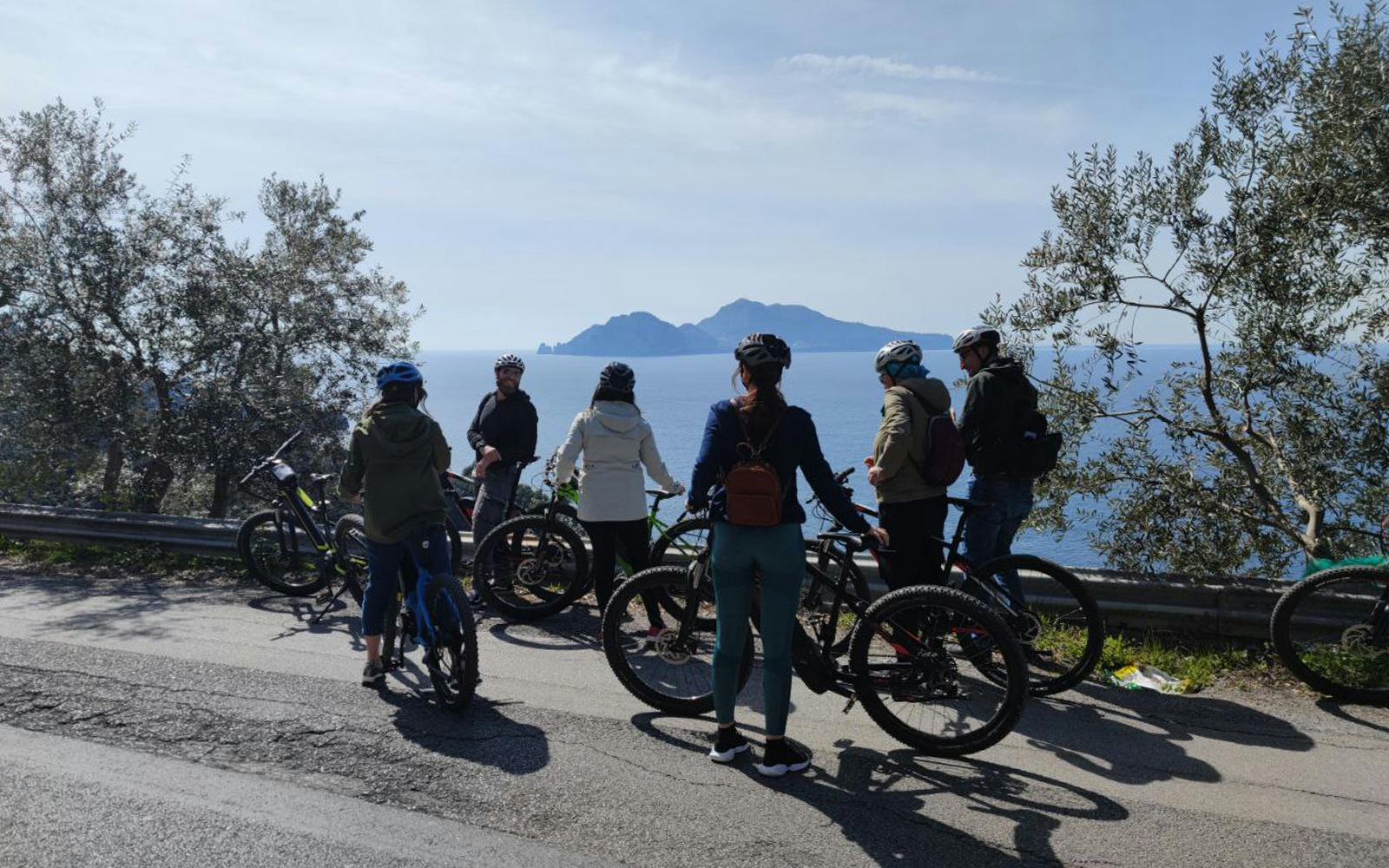 From Sorrento: Mount Vesuvius Guided E-Bike Tour Image 5
