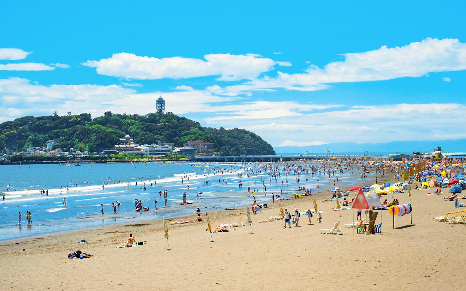 From Tokyo: Kamakura & Hasedera Day Trip with Kotoku In Temple, Enoshima, Enoden Train, & More Image 5
