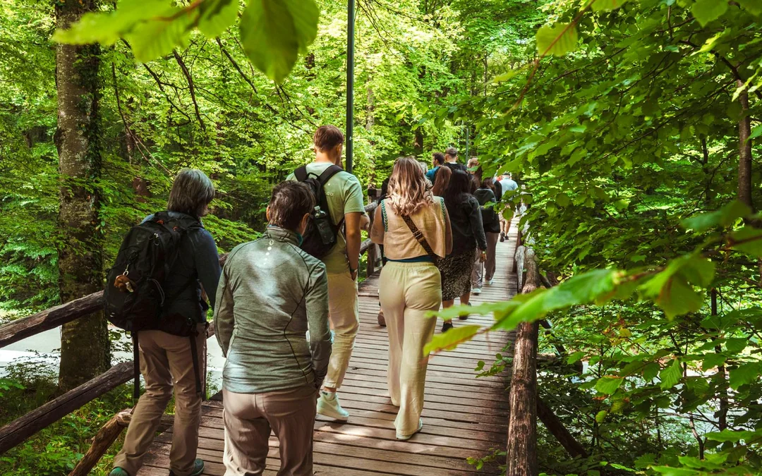 From Zadar: Full-Day Trip to Plitvice Lakes National Park Image 2